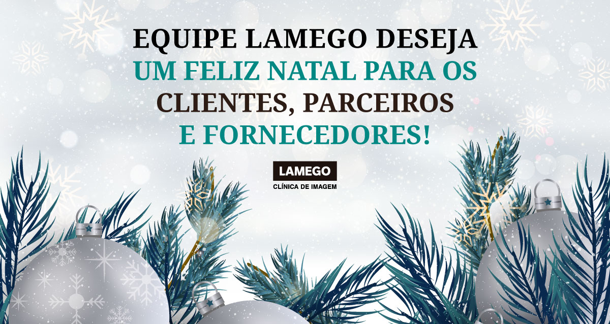Equipe Lamego deseja um feliz Natal para os clientes, parceiros e  fornecedores! - Lamego Diagnósticos
